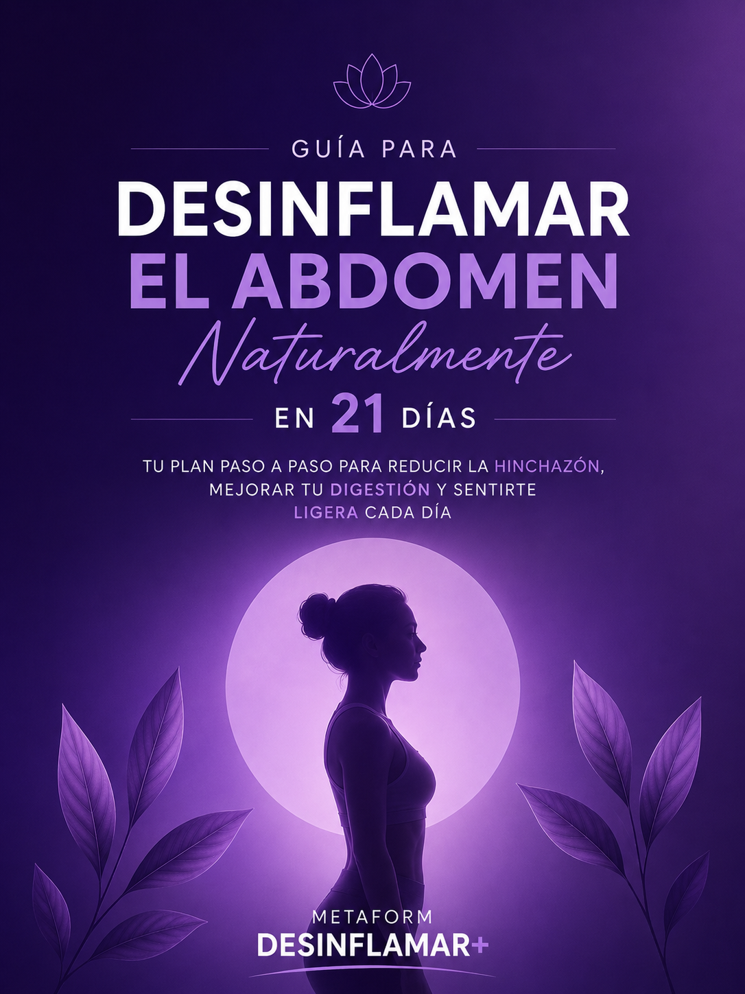 Guia digital - Desinflamar el abdomen naturalmente