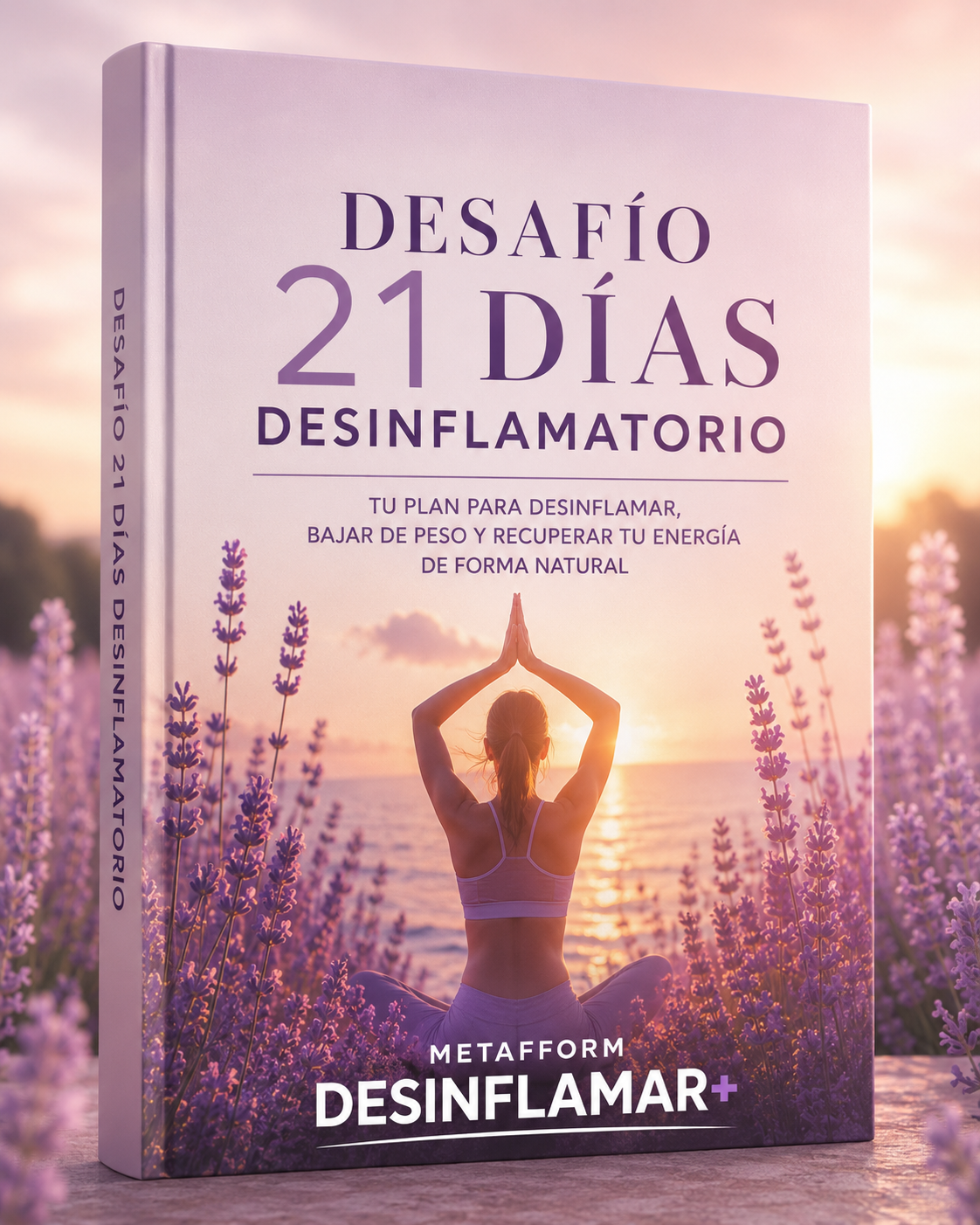 Desafio 21 dias - guia digital